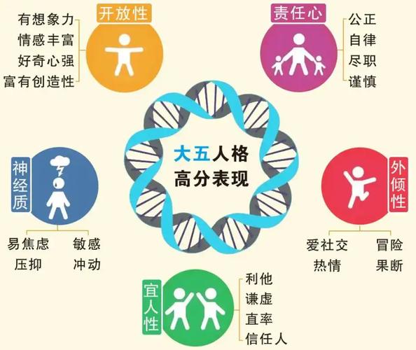 心理测试大五人格维度图