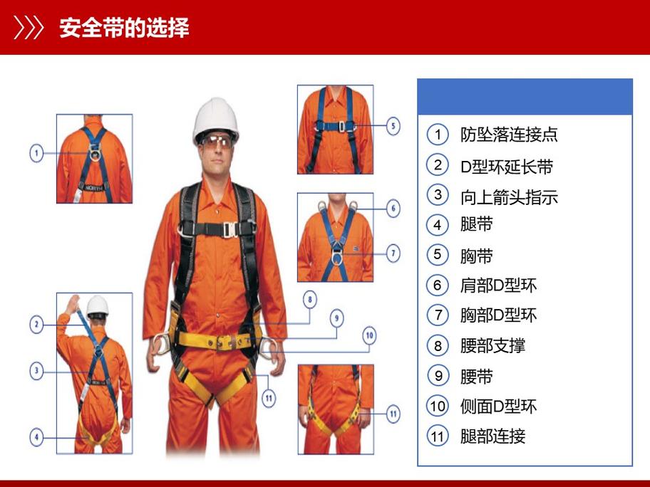 工业安全带全身式结构分解图