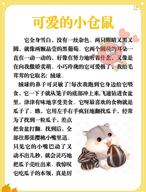 小学生课堂观察小仓鼠照片