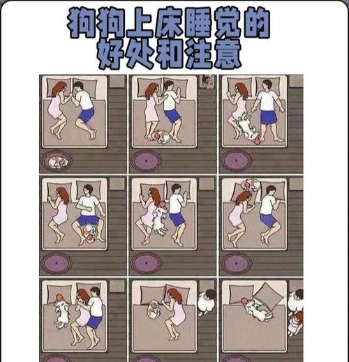 让狗子做个好梦,我们该做啥?
