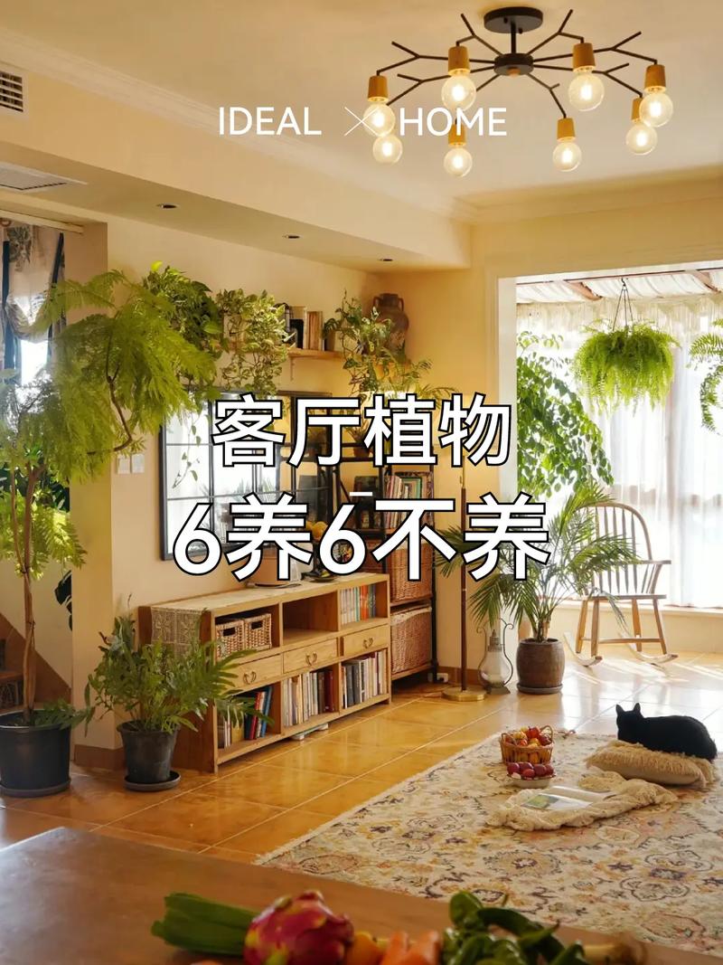 ✅第三关：收纳，没有它客厅秒变灾难现场
