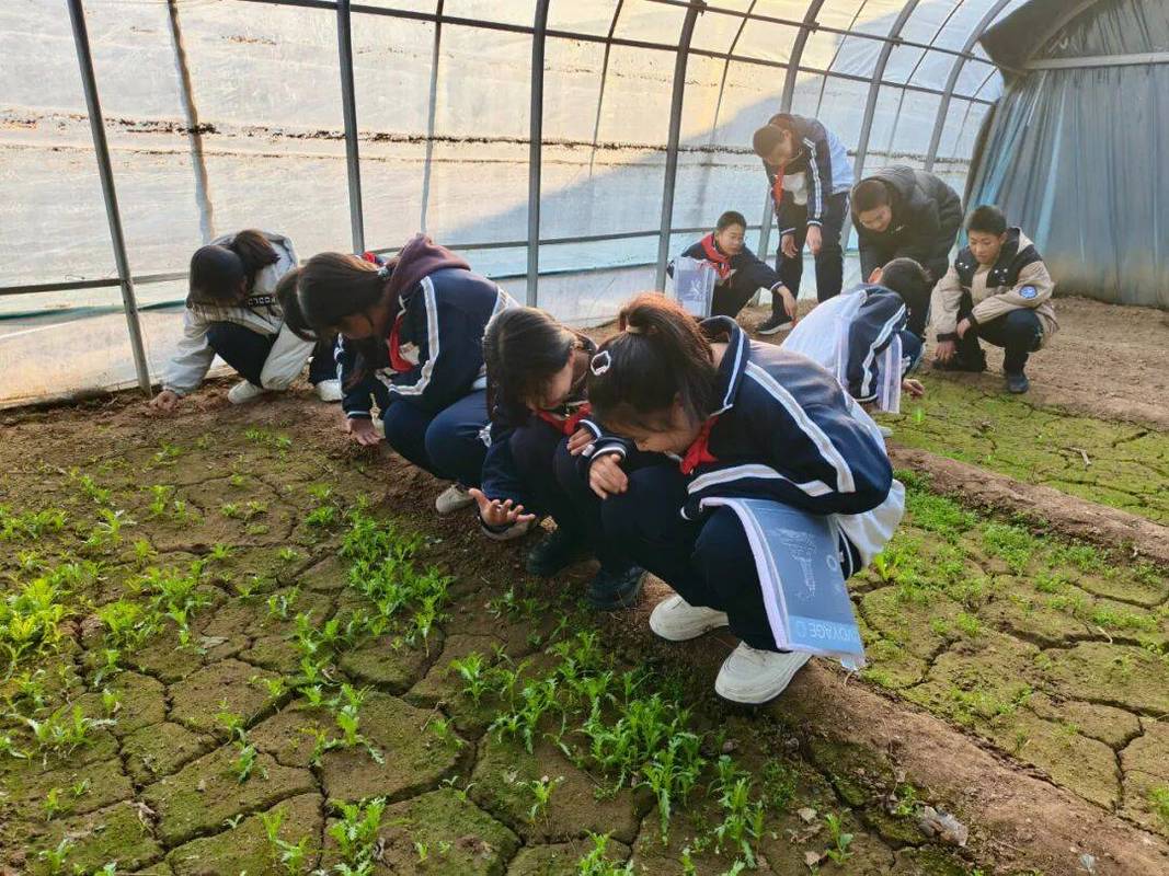 老师蹲着和学生一起观察植物根部