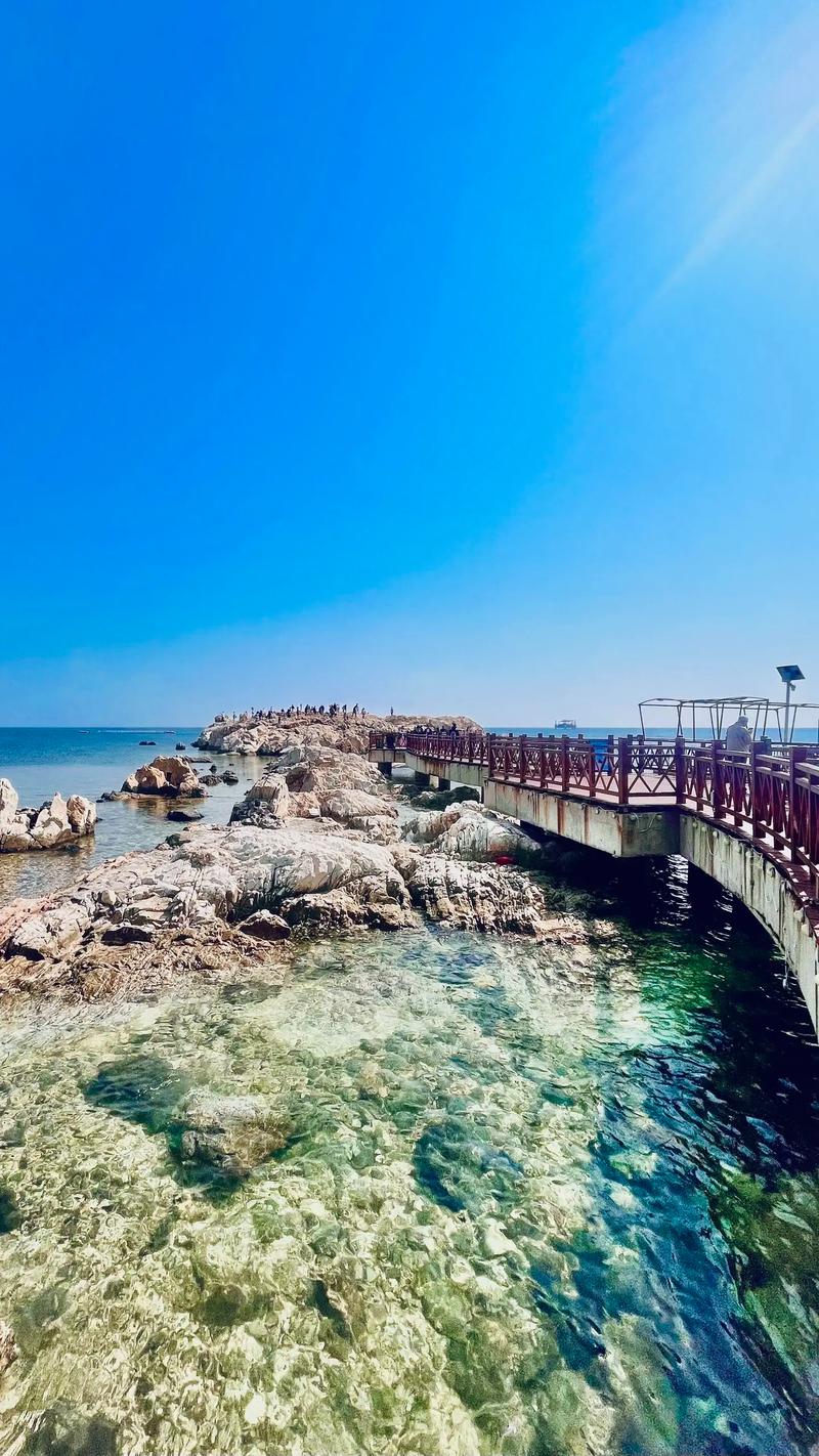 养马岛海水浴场