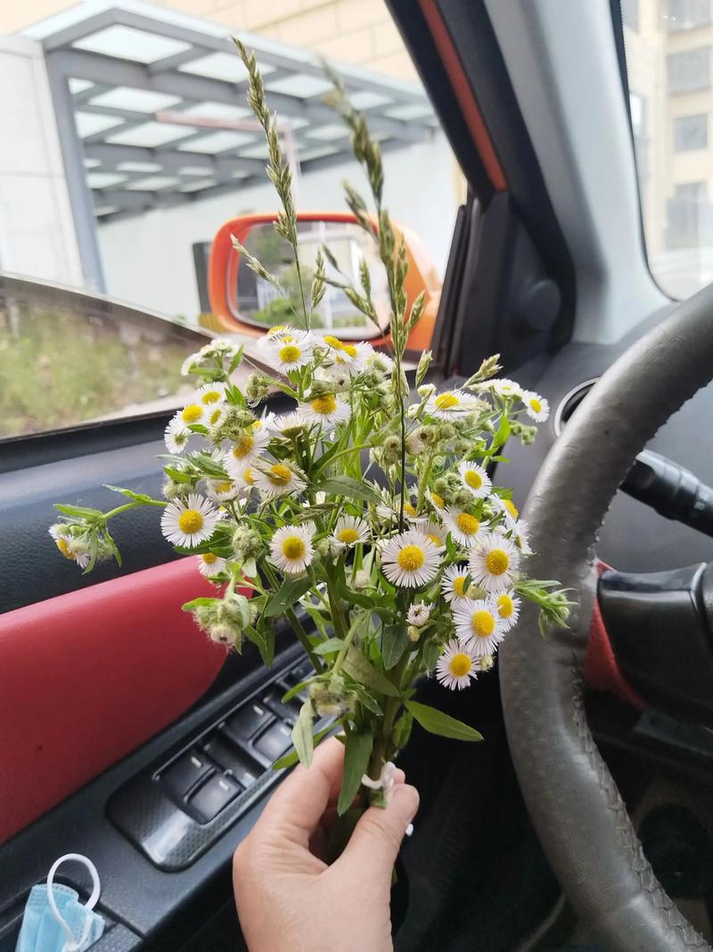 把关照藏进日常的缝隙里