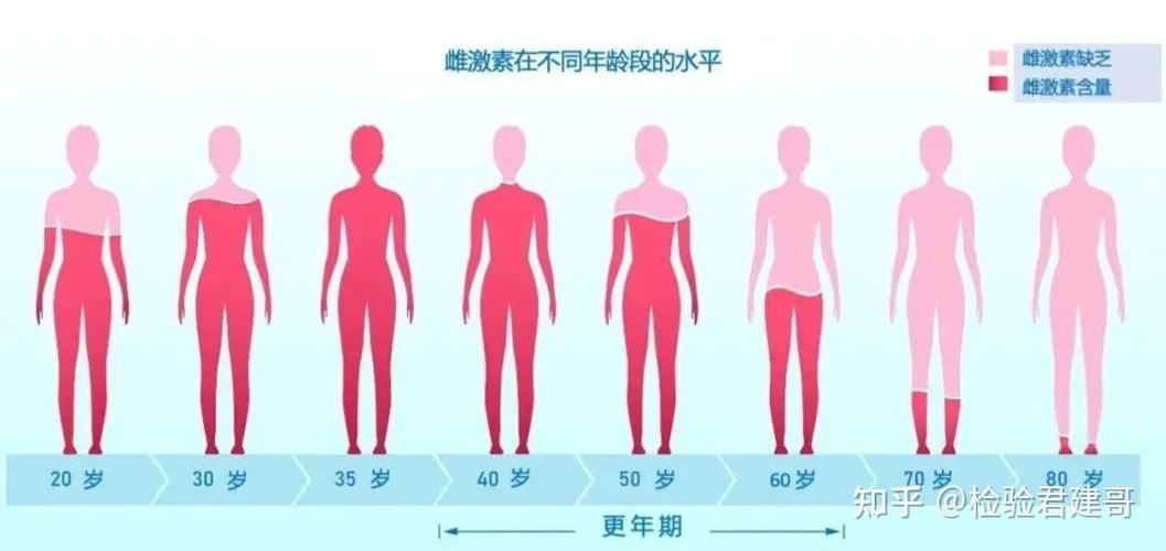 女性更年期激素变化示意图