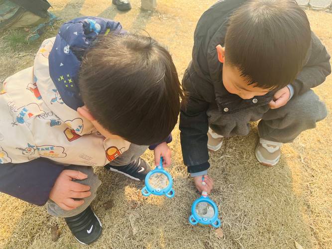 小学生趴在地上用放大镜观察土壤昆虫