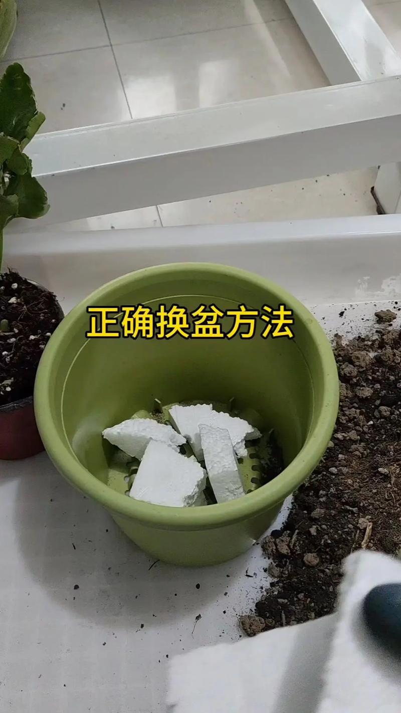 家庭盆栽换盆拌草木灰操作图