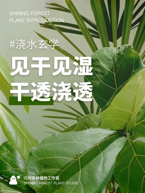 浇水?其实是门玄学