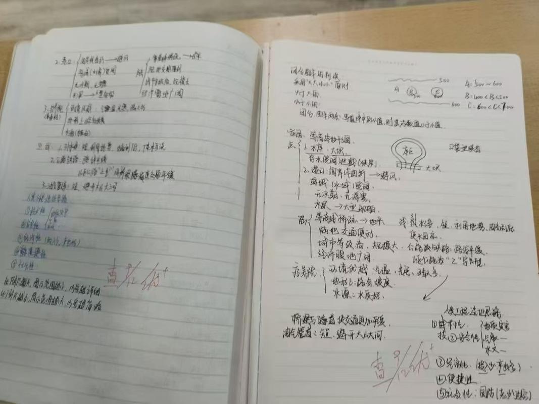 大学课程旁听生坐在教室后排记笔记