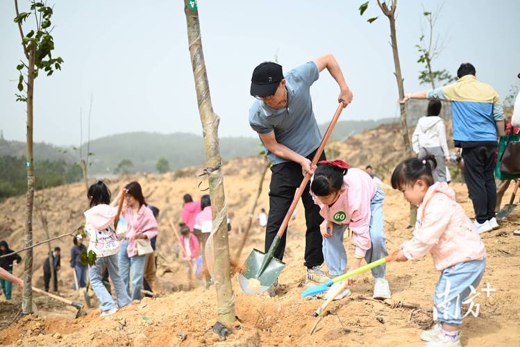 家长耐心陪伴孩子种树场景图