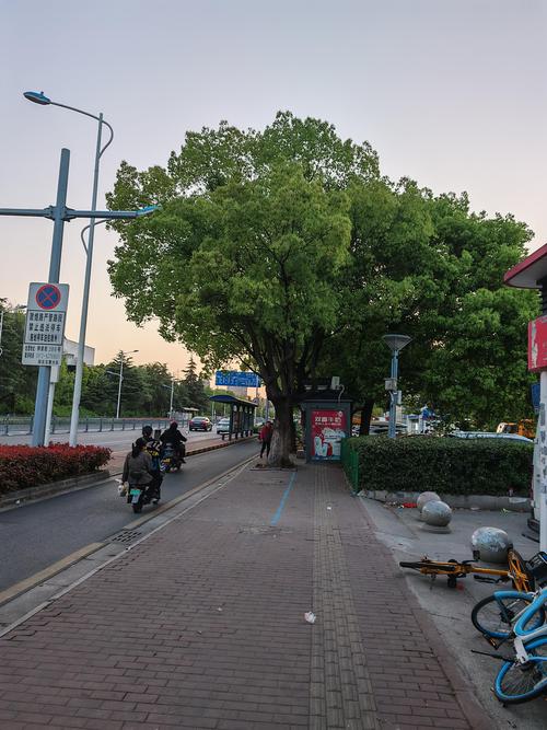 走路去公交站：被你漏掉的半小时生活