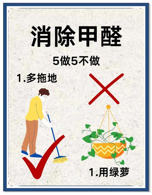 环保与除醛篇