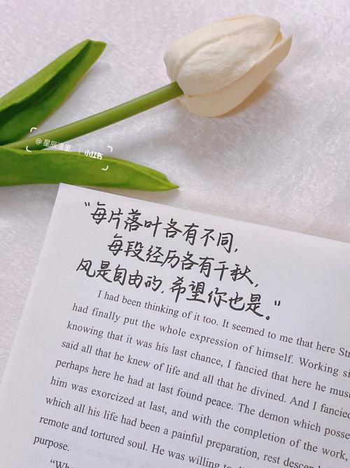 别迷信“全网爆火特效”,适合你内容节奏的才是对的