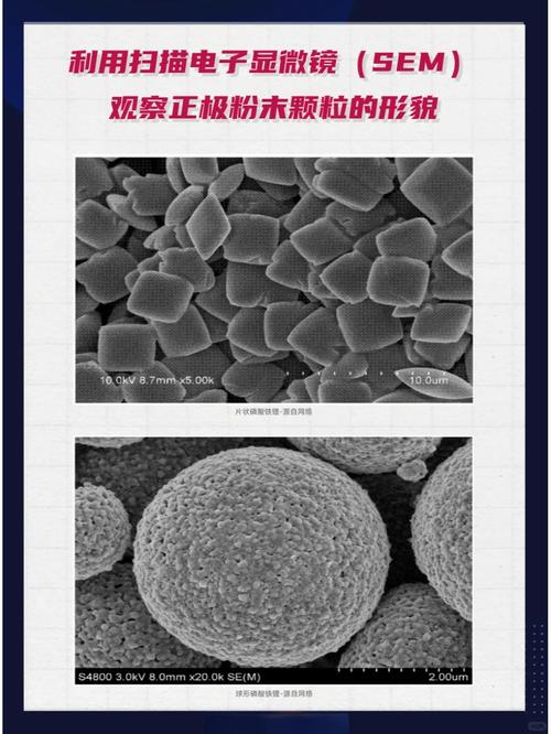 扫描电镜下分子筛挤条颗粒断面粘结剂分布