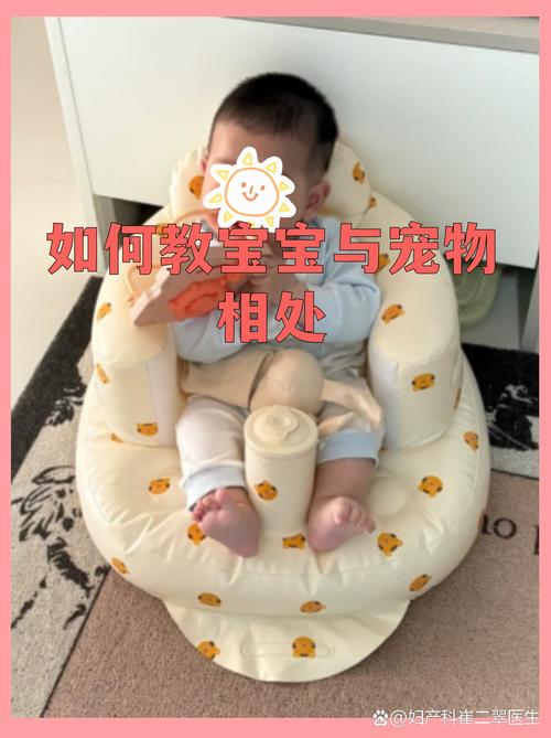 怎么教娃和宠物好好相处？