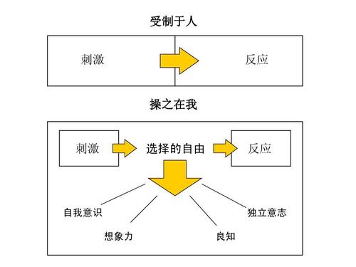 积极主动刺激与反应的选择自由示意图