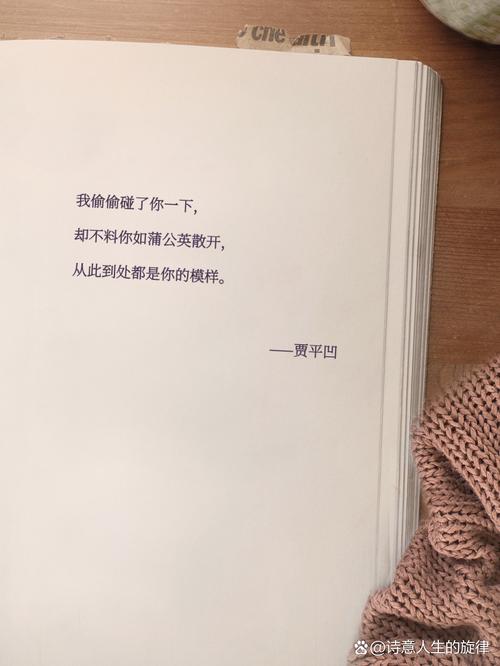 但讲真，也有点浪漫（别打我）