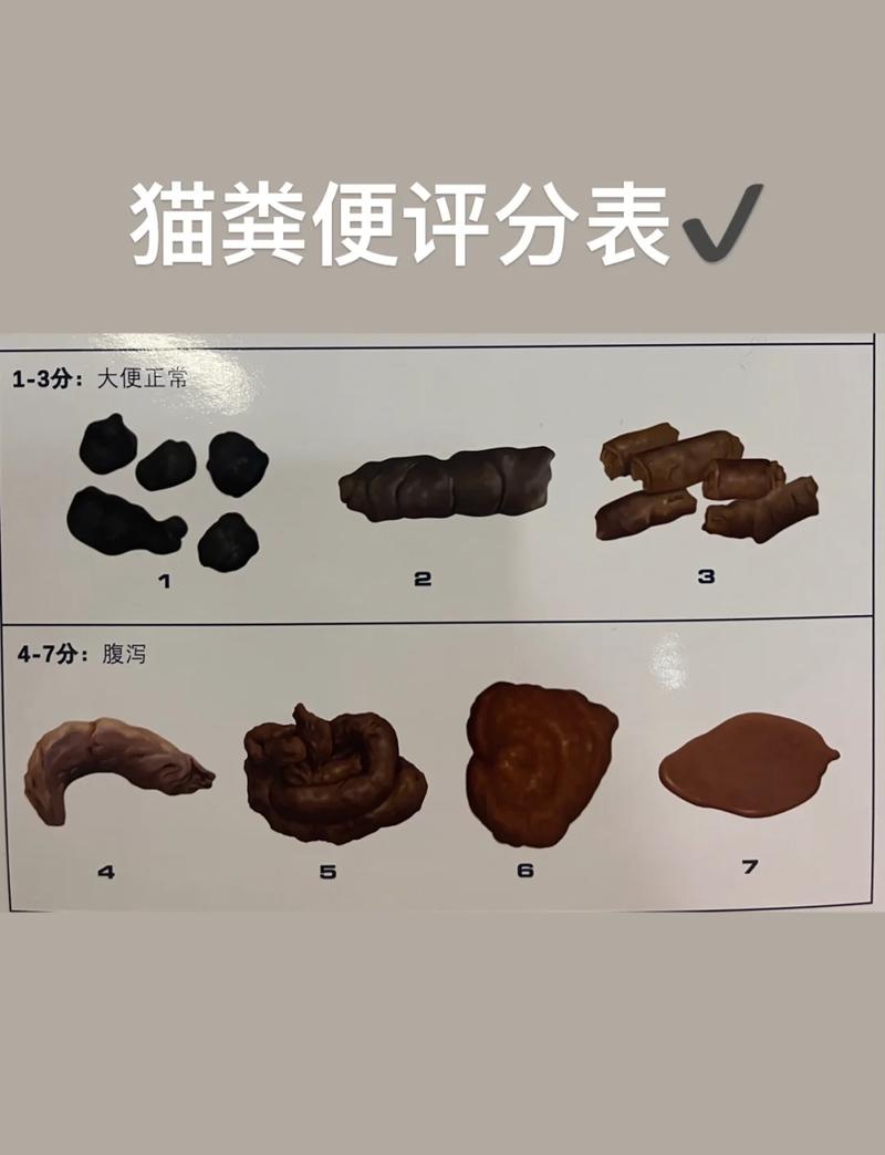 猫排出毛球的正常粪便示例