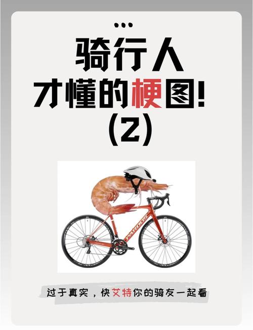 你以为的休闲骑,可能比爬坡还累