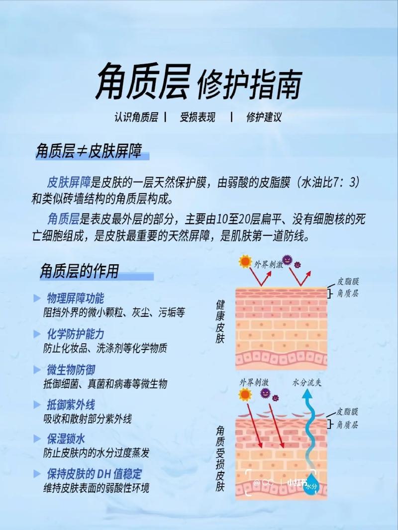 健康角质层与受损角质层对比示意图