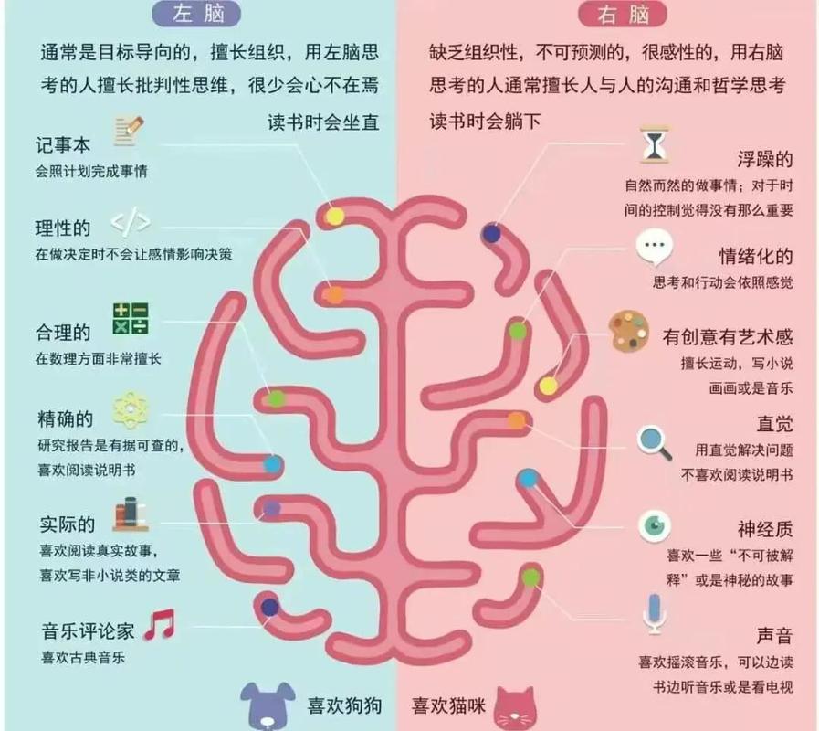 情感化设计——你的大脑在给屏幕打分
