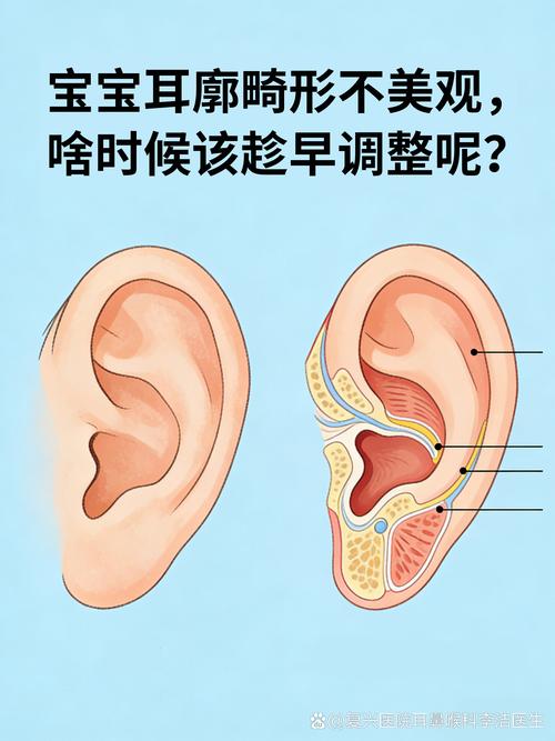 分月龄宝宝过度依赖干预步骤表