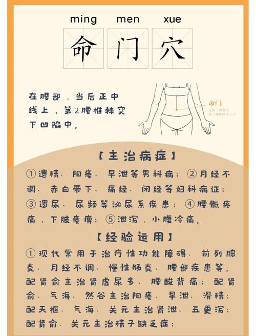售后?那才是真正的命门