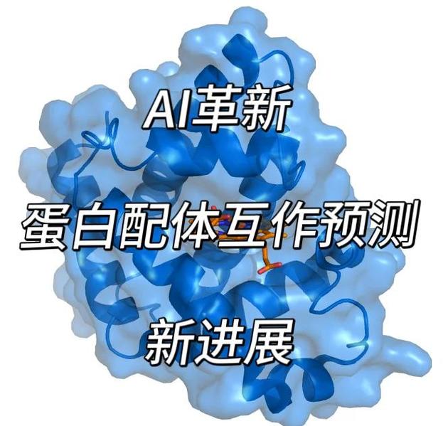 AI预测蛋白质结构在药物研发中的应用