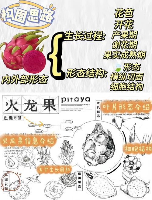 单品解构:从食材到味觉的精密工程
