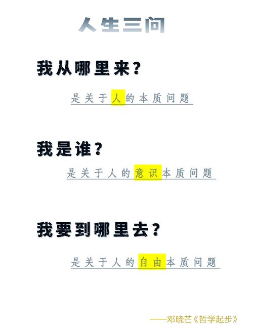 提问：从“什么是”到“为什么是”