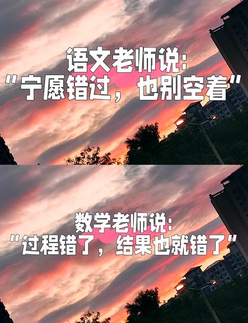 老师为啥又爱又恨?现实中的坑与光