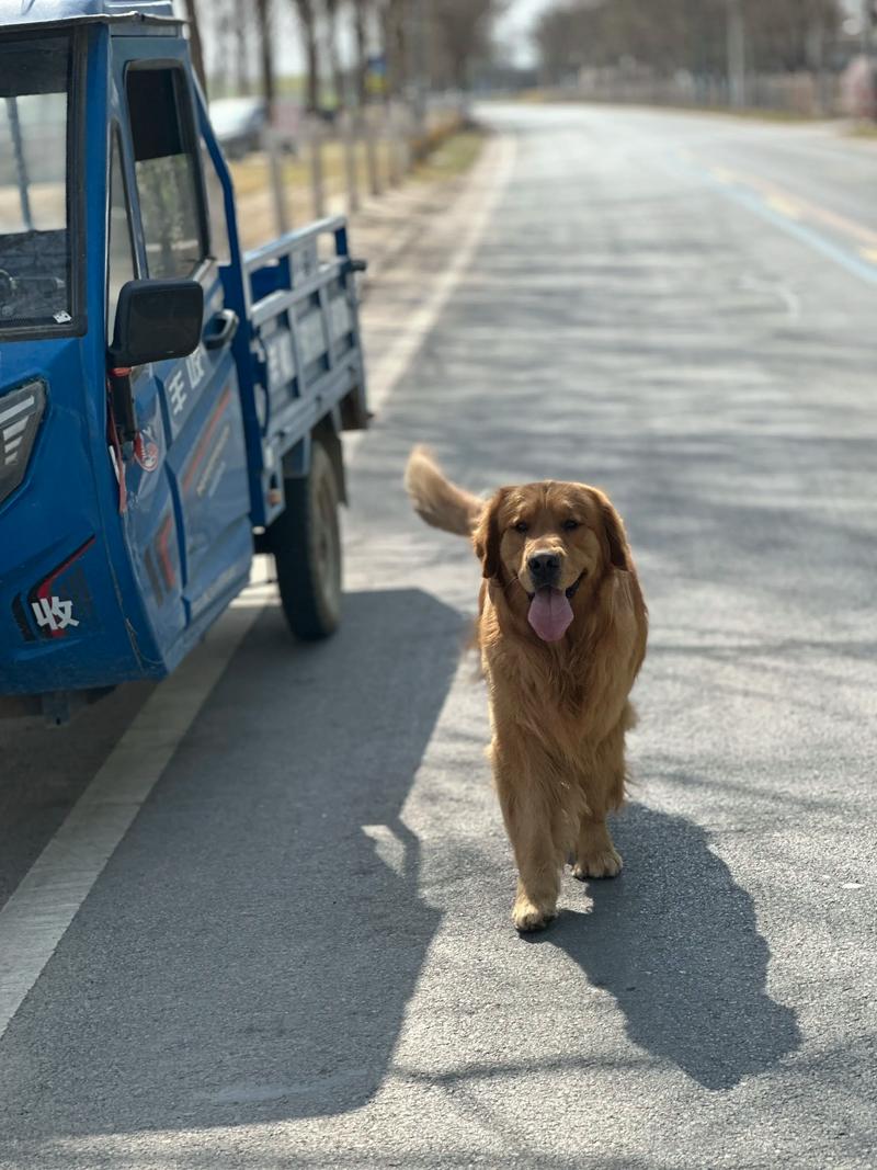 风冷，让我又爱又恨的家伙