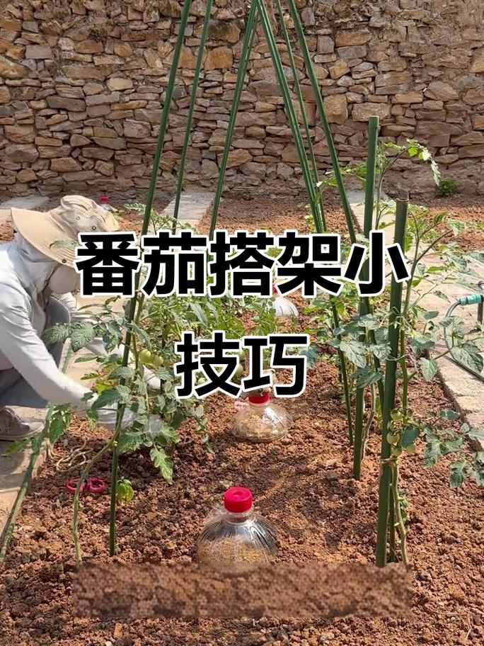 劳动教育,不只是“干活”:如何重塑孩子的未来-如东教育网