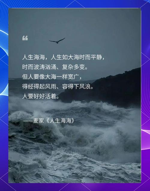 人生海海,需要几颗锚?
