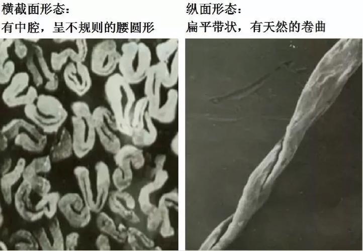 劣质同步带内部纤维分布不均显微镜图像