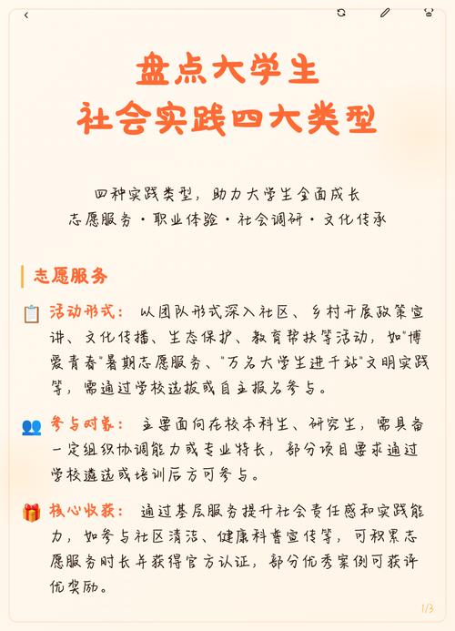 社会实践三种类型对比示意图