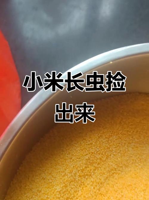 长虫变味的杂粮，还能吃吗？