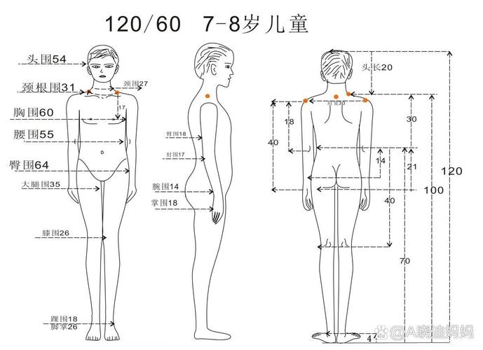 儿童身体各阶段尺寸测量示意图