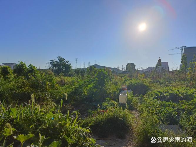 那块没标记的空地，还在吗