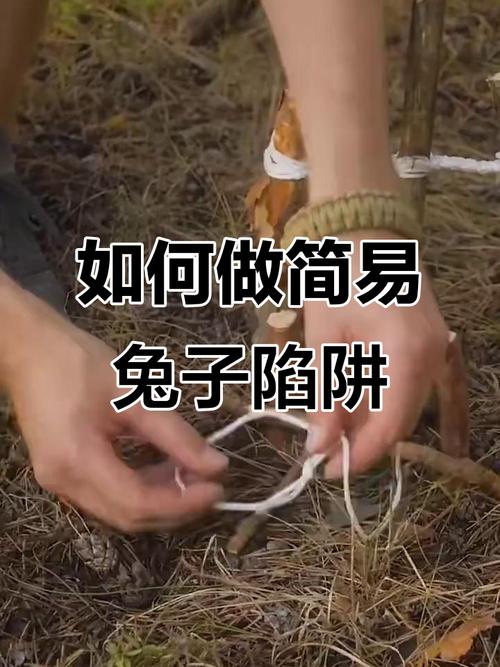 错误四:以为野外能抓到兔子,结果饿得啃树皮