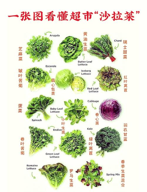 常见苦味食材种类图鉴