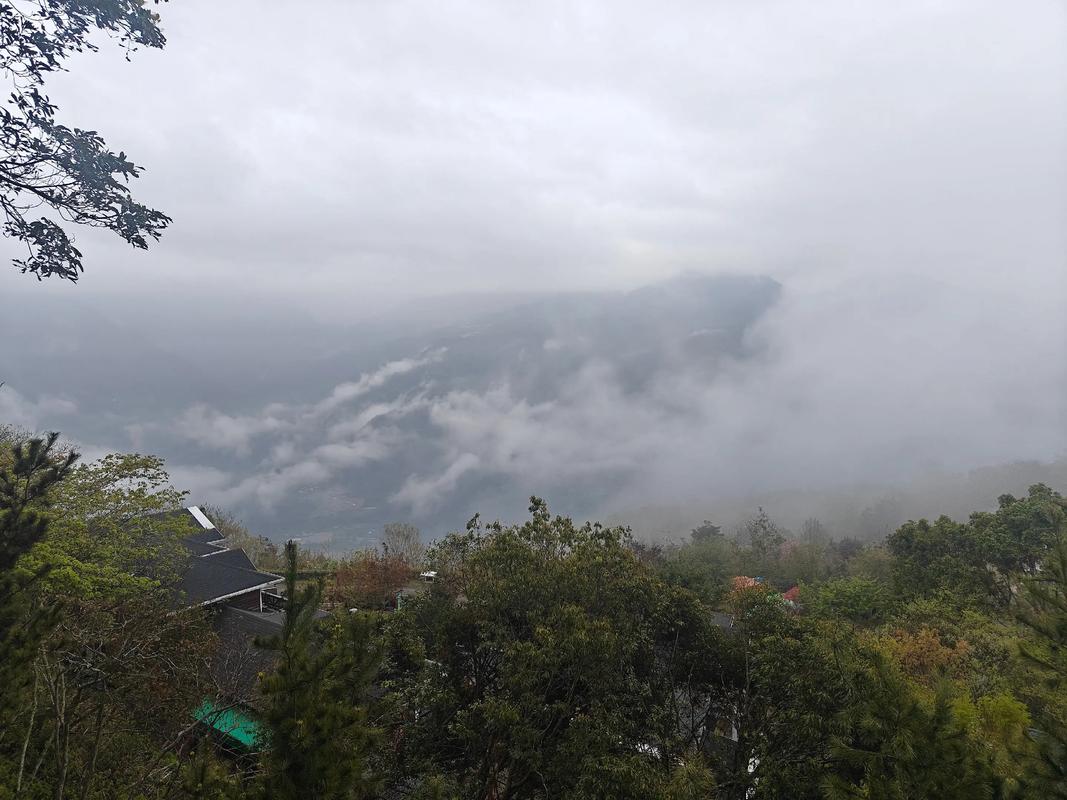 天子山废弃观景亭晨雾