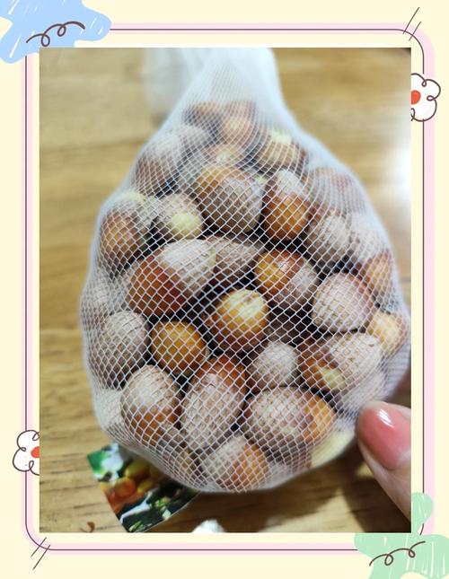 银杏白果处理过程去皮清洗