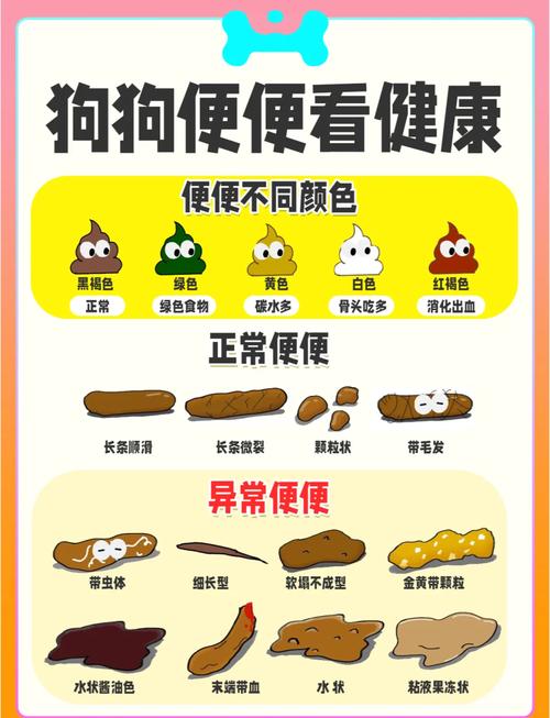 宠物换粮期间便便状态对照图