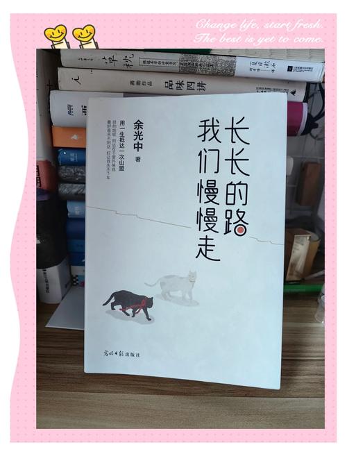 我们都活在一道道看不见的阶梯上