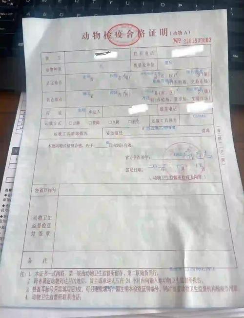 铁路宠物托运检疫证明办理流程实拍