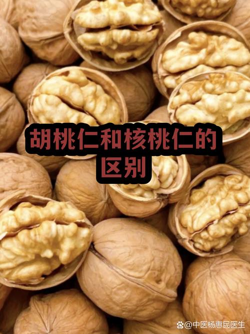 手心里一小把混合坚果与核桃仁的量比较图