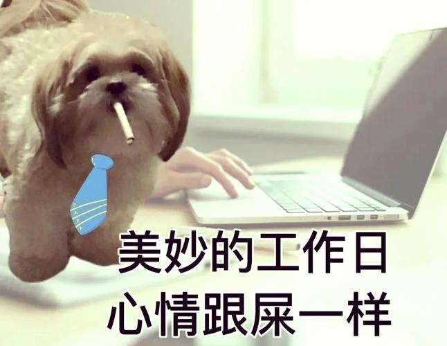 运行维护，懒人绝对干不了