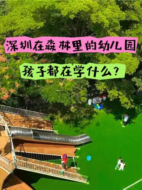 森林幼儿园适合你家孩子吗？——选择、困惑与真相