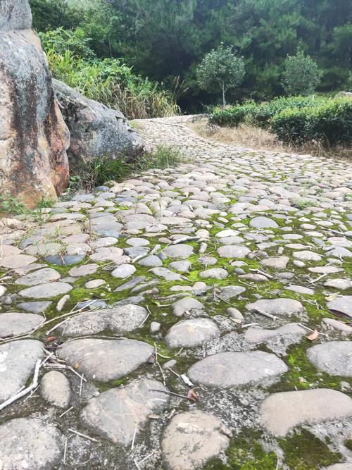 厦门八市清晨青石板上带鱼鳞的咸湿地面